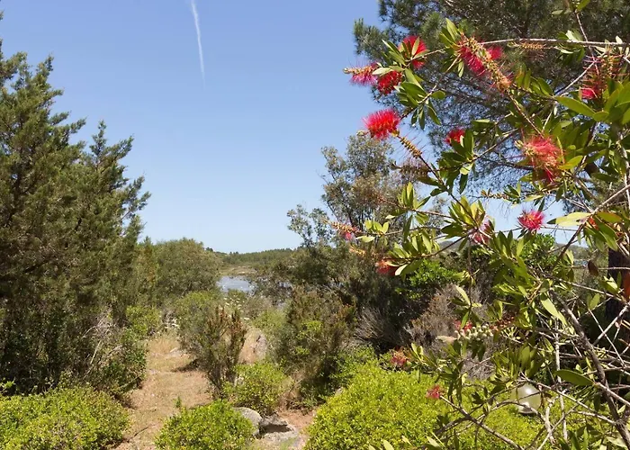 Con Accesso Privato Di Cala Brandinchi * San Teodoro (Sardinia)